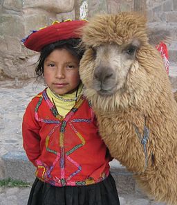 A Quechua girl and her llama. 