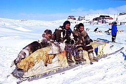 An Inuit family and their dog sled. 