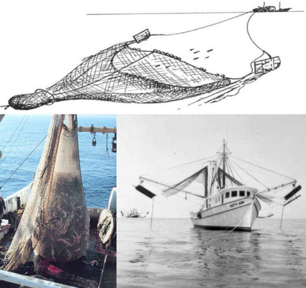 Three photos. One that shows a net, one that shows the net trawling fish, and another of the boat that uses these types of nets to catch fish.