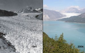 ice melt comparison