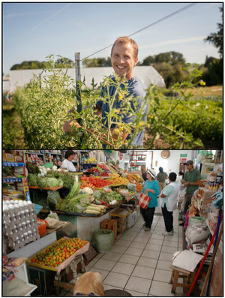 Top photo of a person in a garden; bottom photo inside a grocery store.
