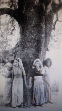 Indian women protecting trees
