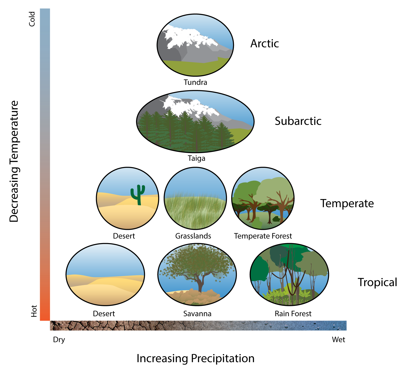 geographic-distribution-of-biodiversity-healing-earth